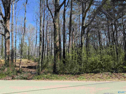 Vacant Land For Sale - 1.7 ACRES Al Hwy 69<br/> Arab, AL 35016