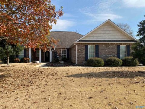 Homes For Sale - 207 Somer Bridge Drive<br/> Huntsville, AL 35811