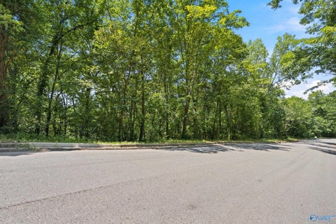 Vacant Land For Sale - 15010 Greentree Trail<br/> Madison County, Huntsville, AL 35803