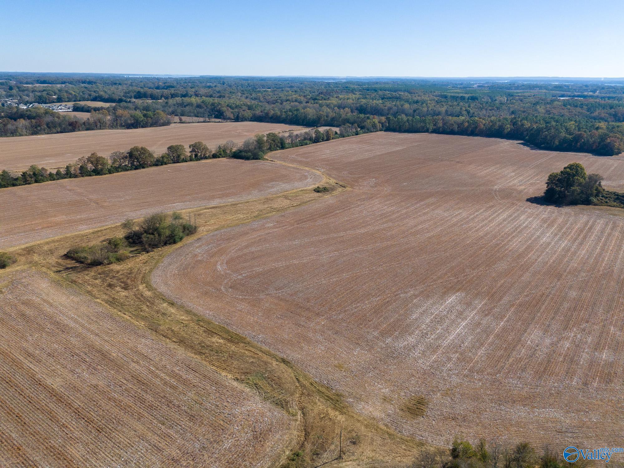 430B Wheeler Hills Road, Rogersville, Alabama image 35