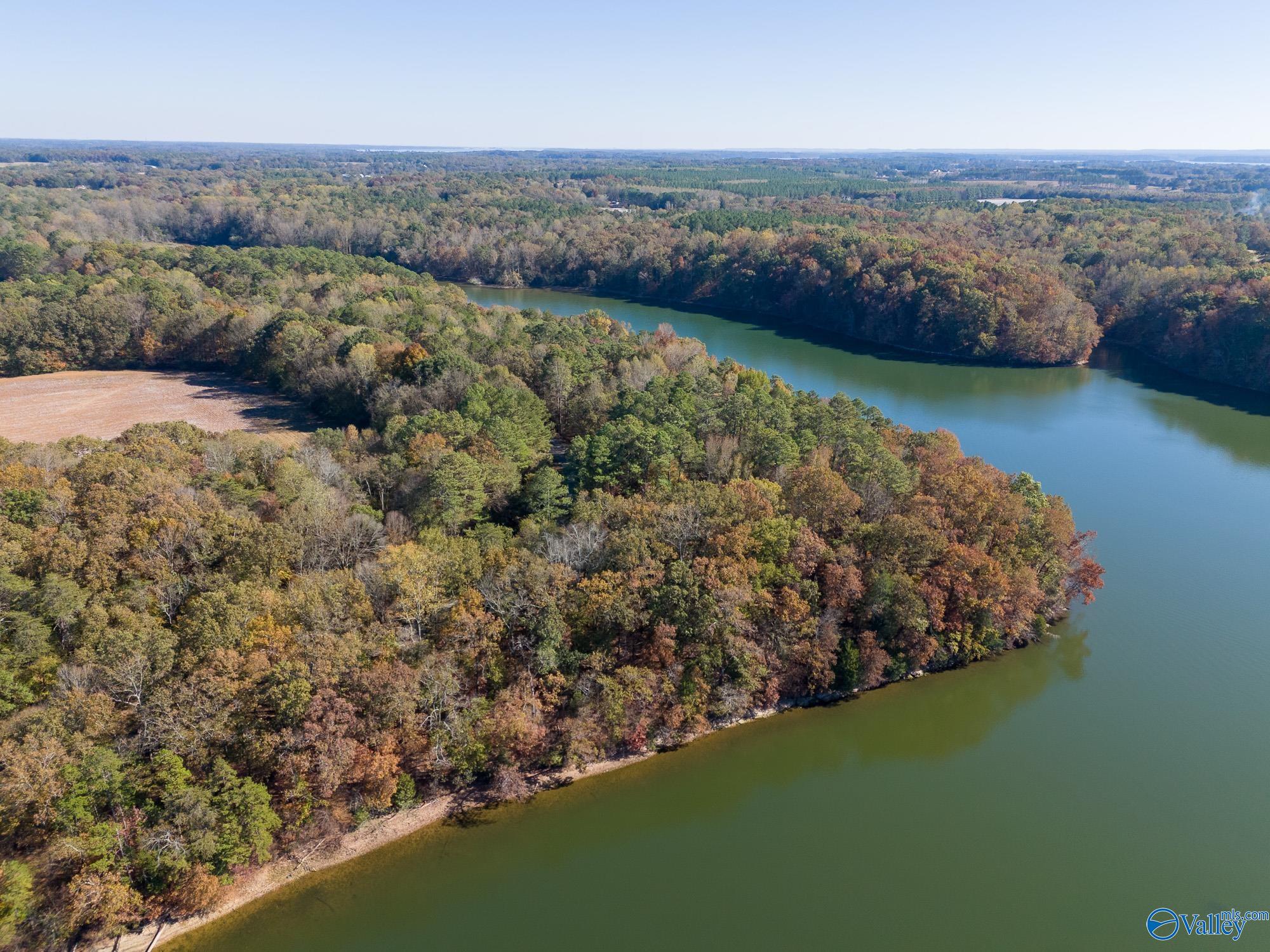 430B Wheeler Hills Road, Rogersville, Alabama image 25