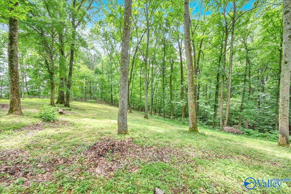 19822 Riverside Street, Athens, Alabama image 15
