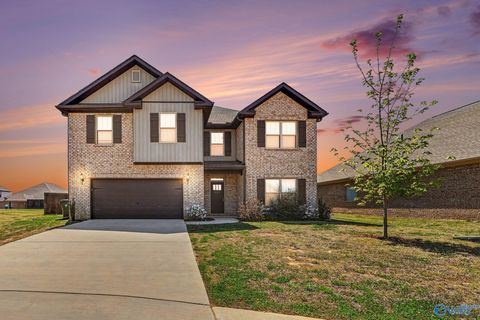 Homes For Sale - 204 Portrait Street<br/> Meridianville, AL 35759