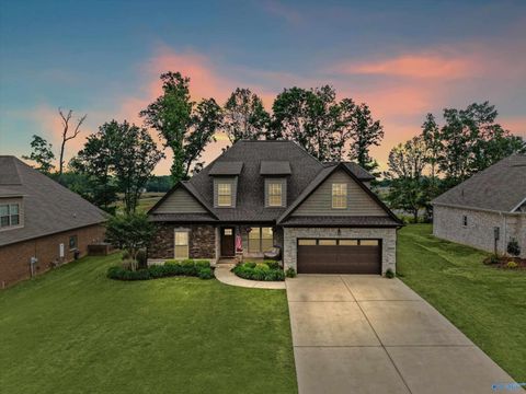 Homes For Sale - 29222 Carnaby Lane<br/> Toney, AL 35773