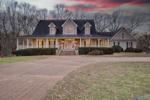 Photo of 202 Andrea Kaye Court, Hazel Green, AL 35750 (MLS # 21909401)