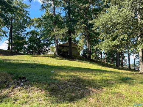 Vacant Land For Sale - 195 County Road 962<br/> Cherokee County, Gaylesville, AL 35973