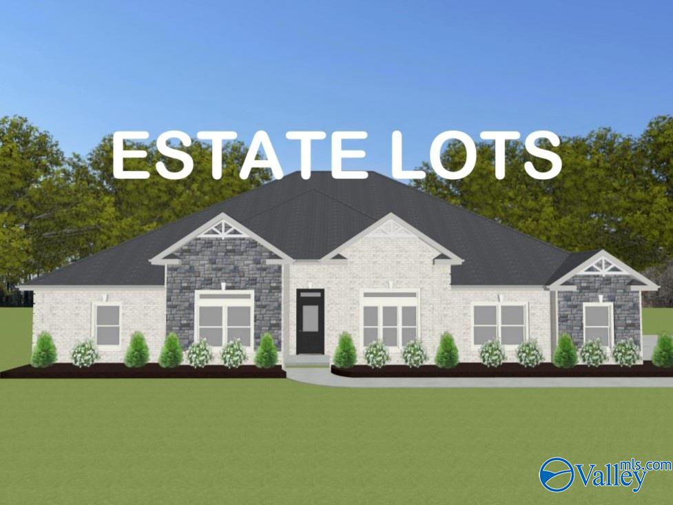 Augusta E1 Newby Chapel Road, Athens, Alabama image 1