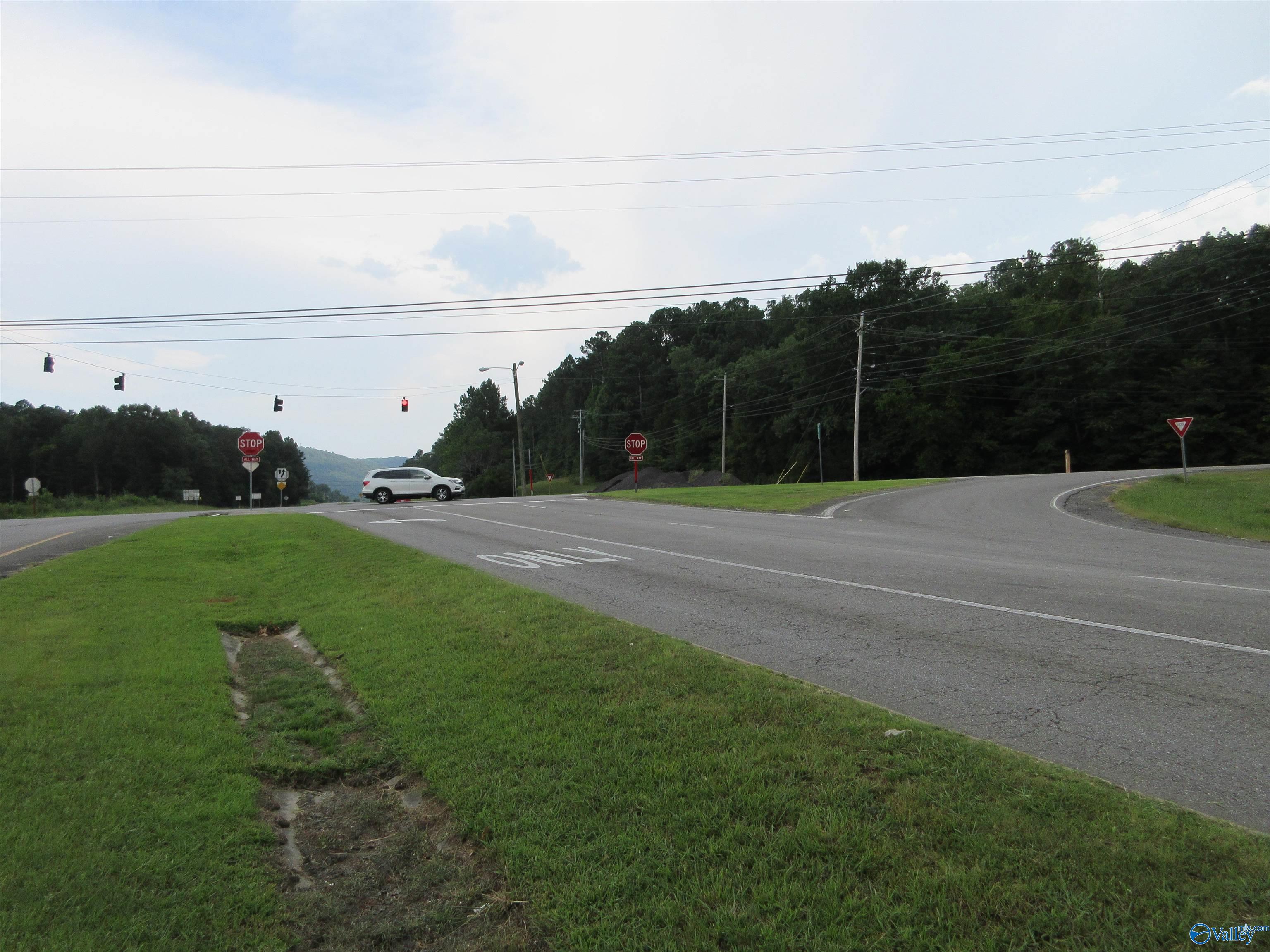 17 Hwy 35, Scottsboro, Alabama image 3