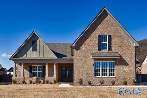 Homes For Sale - 30 Belle River Way<br/> Gurley, AL 35748
