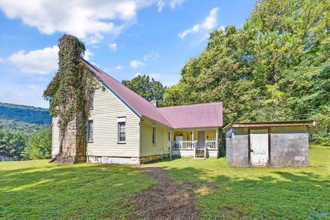 Vacant Land For Sale - 3818-1 County Road 4 #TRACT 1<br/> Hollytree, AL 35751