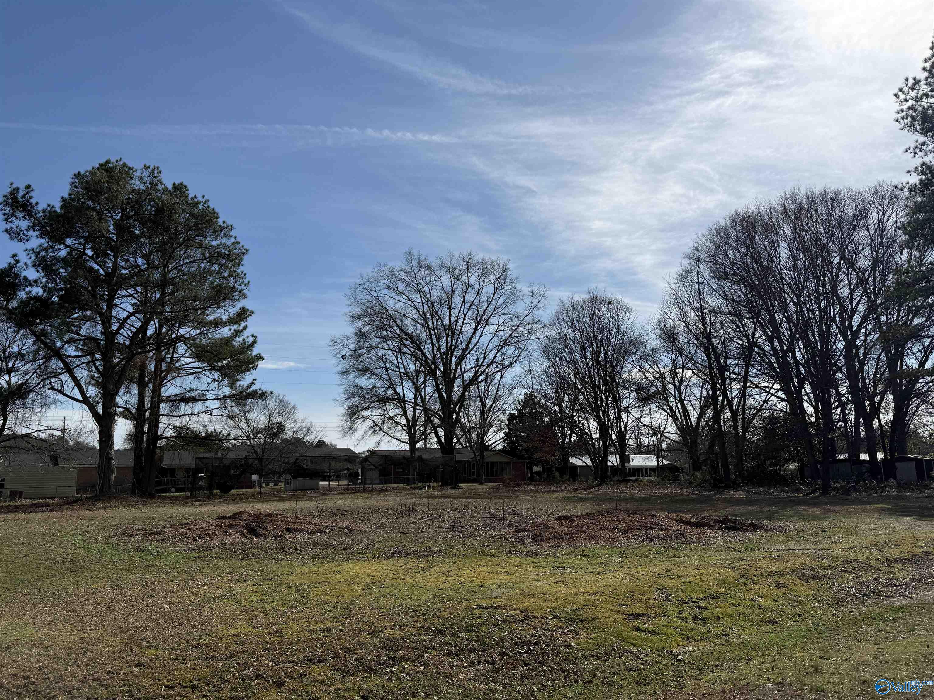 .50 +/- Acre Westwood Lane, Southside, Alabama image 1