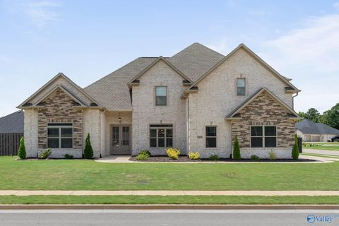 Photo of 14050 Mallard Drive, Madison, AL 35756 (MLS # 21919489)