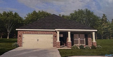 113 Equality Court Triana AL 35756