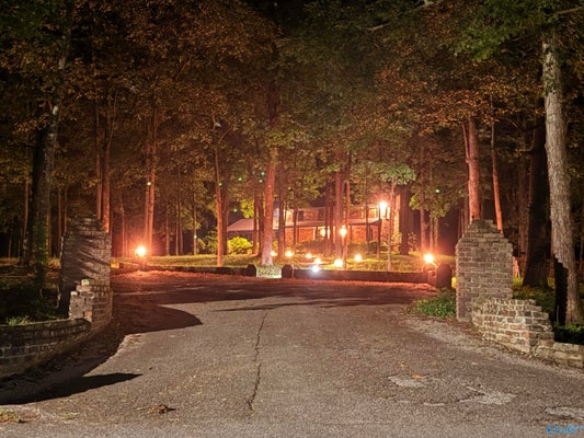 2236 PINE LAKE DR NW, ARAB, AL 35016 - Image 9c6db5754fd2240ae399a03069f2e894/414068273