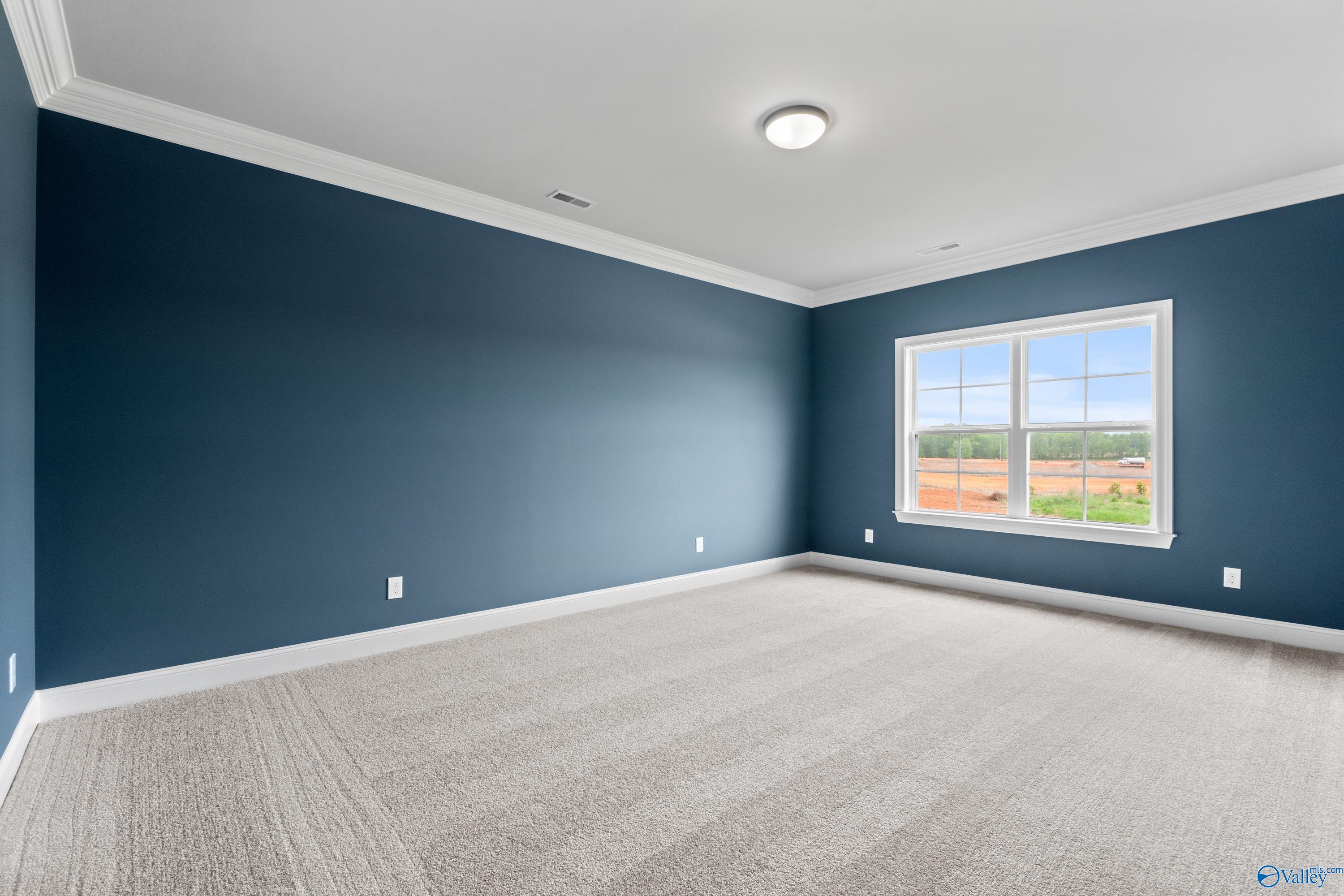 143 Pat Cain Drive, New Market, Alabama image 17