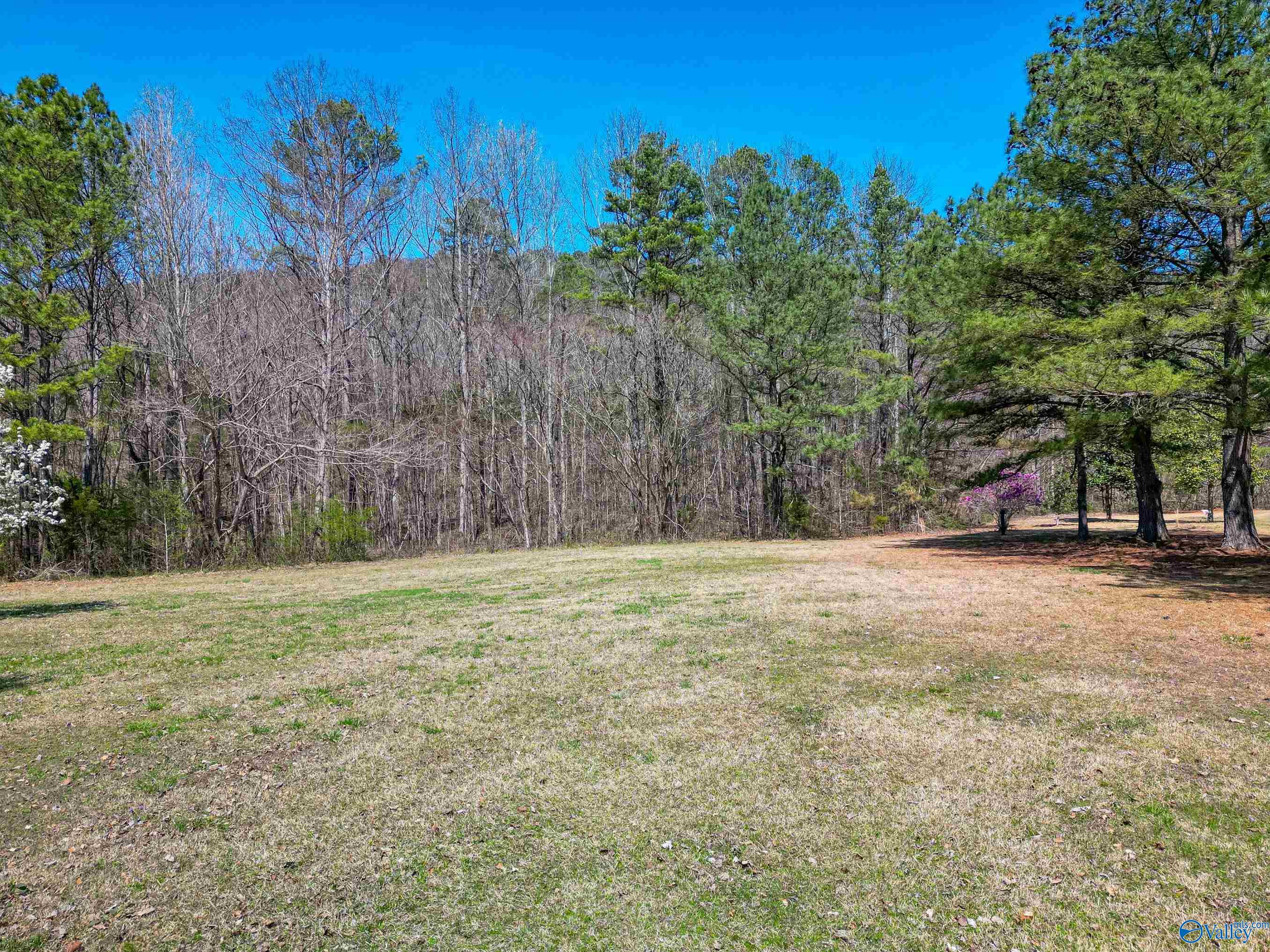 228 Buddy Drive, Gurley, Alabama image 3