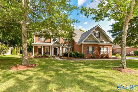 3039 Flint Mill Run SE Owens Cross Roads AL 35763