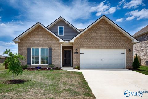 Photo of 220 Irish Hill Drive, Meridianville, AL 35759 (MLS # 21917330)