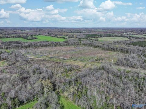 Vacant Land For Sale - 120 +/- ACRES County Road 39<br/> Lawrence County, Mount Hope, AL 35672