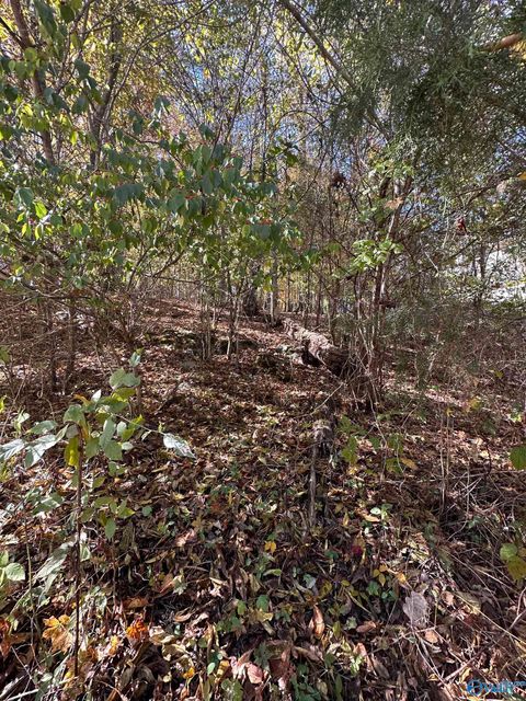 Vacant Land For Sale - 4620 Legacy Preserve Way<br/> Brownsboro, AL 35741