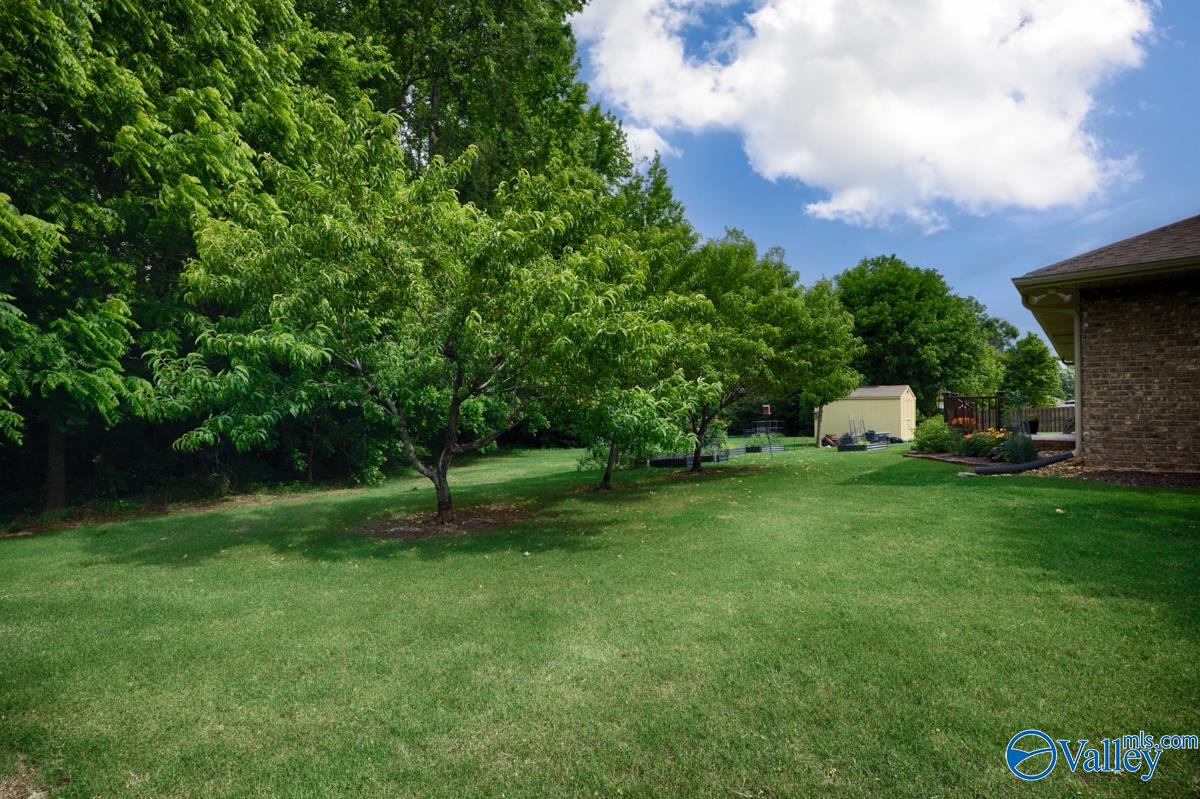 29820 Carriage Creek Circle, Harvest, Alabama image 24