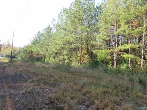 Vacant Land For Sale - 1976 County Road 276<br/> Stevenson, AL 35772