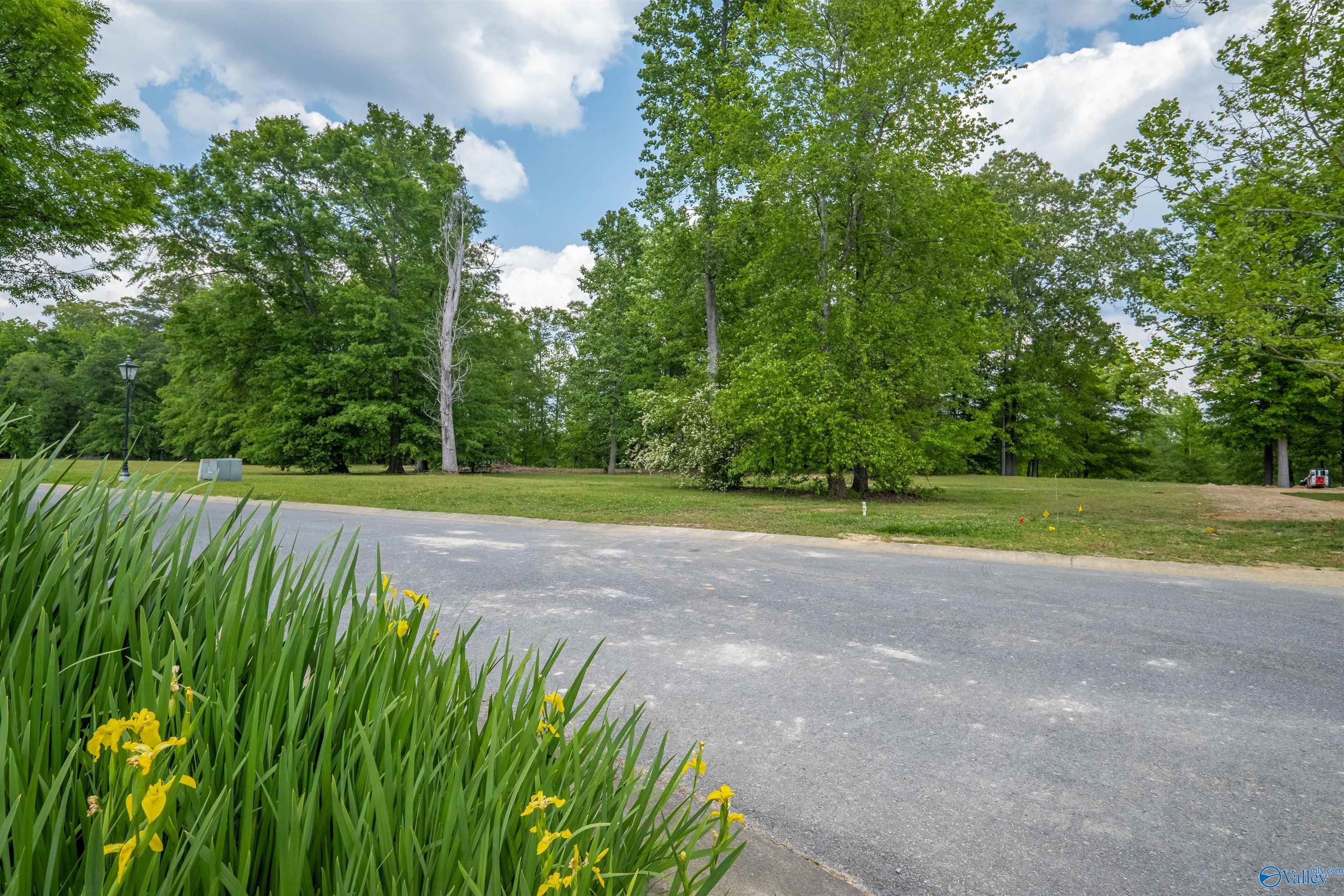 Lot M-3 Copper Leaf Walk, Gadsden, Alabama image 11