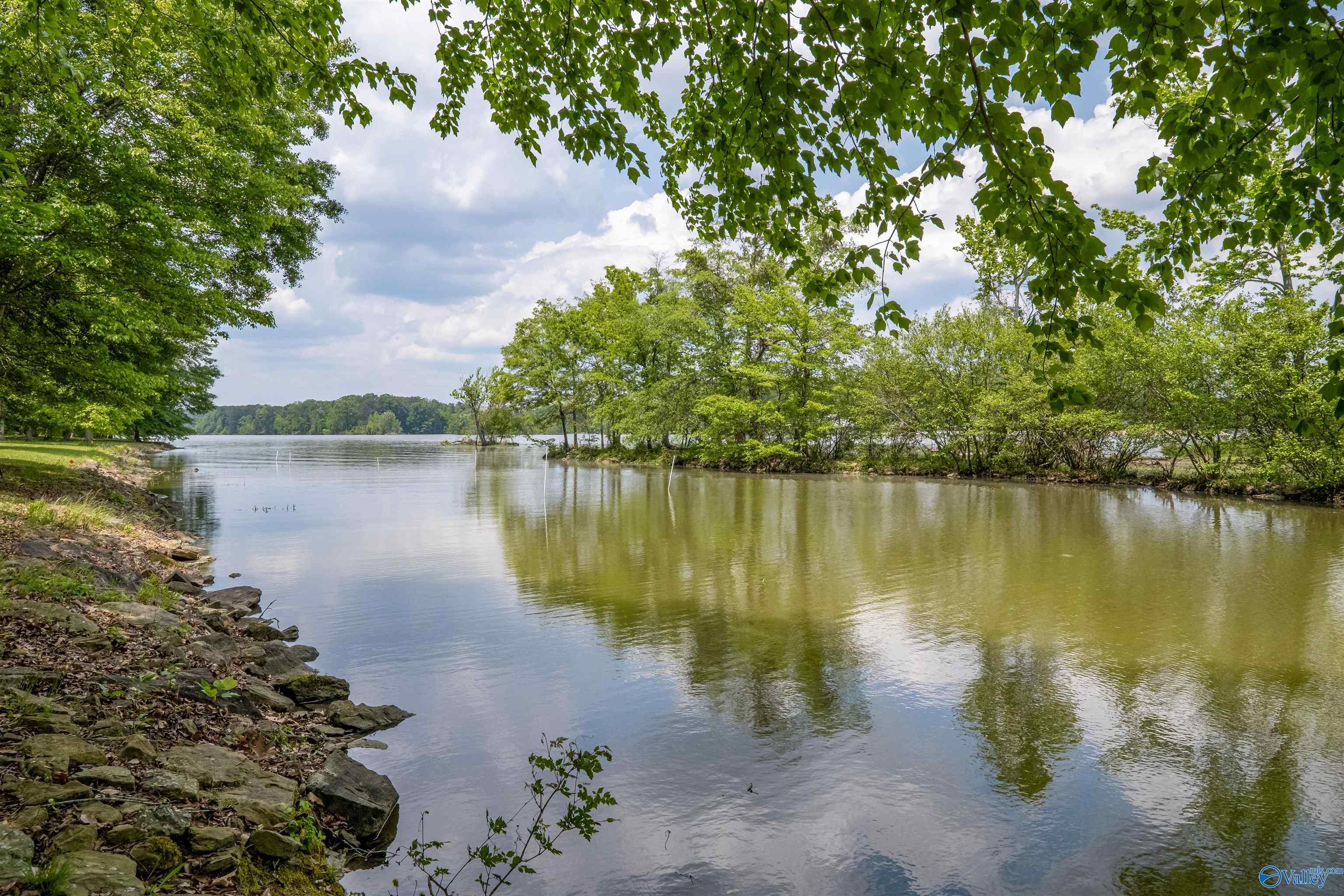 Lot M-3 Copper Leaf Walk, Gadsden, Alabama image 12