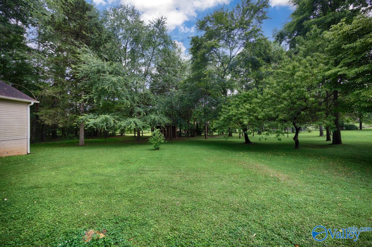 156 San Leonardo Way, Huntsville, Alabama image 44