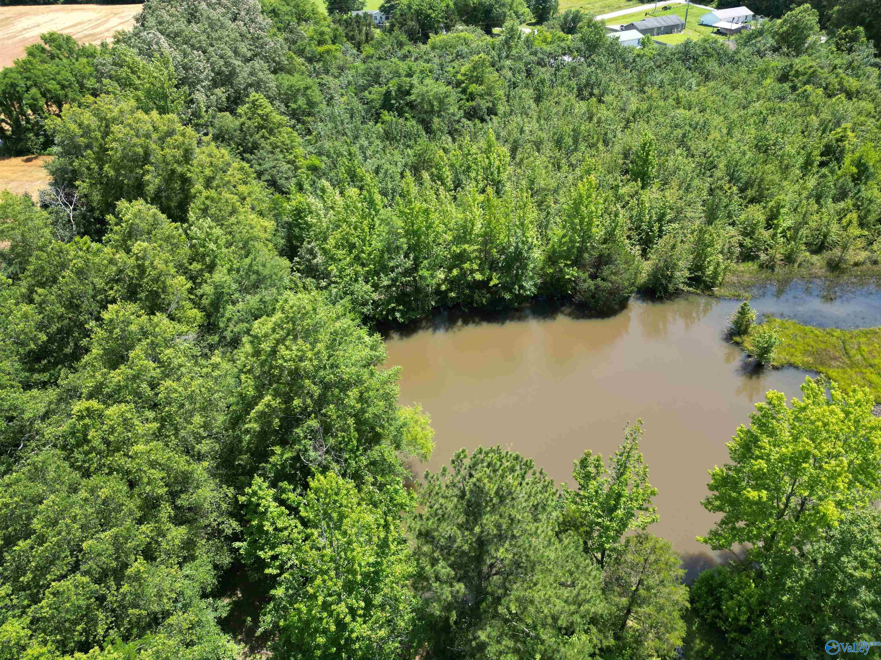 14 Acres Beaver Creek Road, Laceys Spring, Alabama image 11
