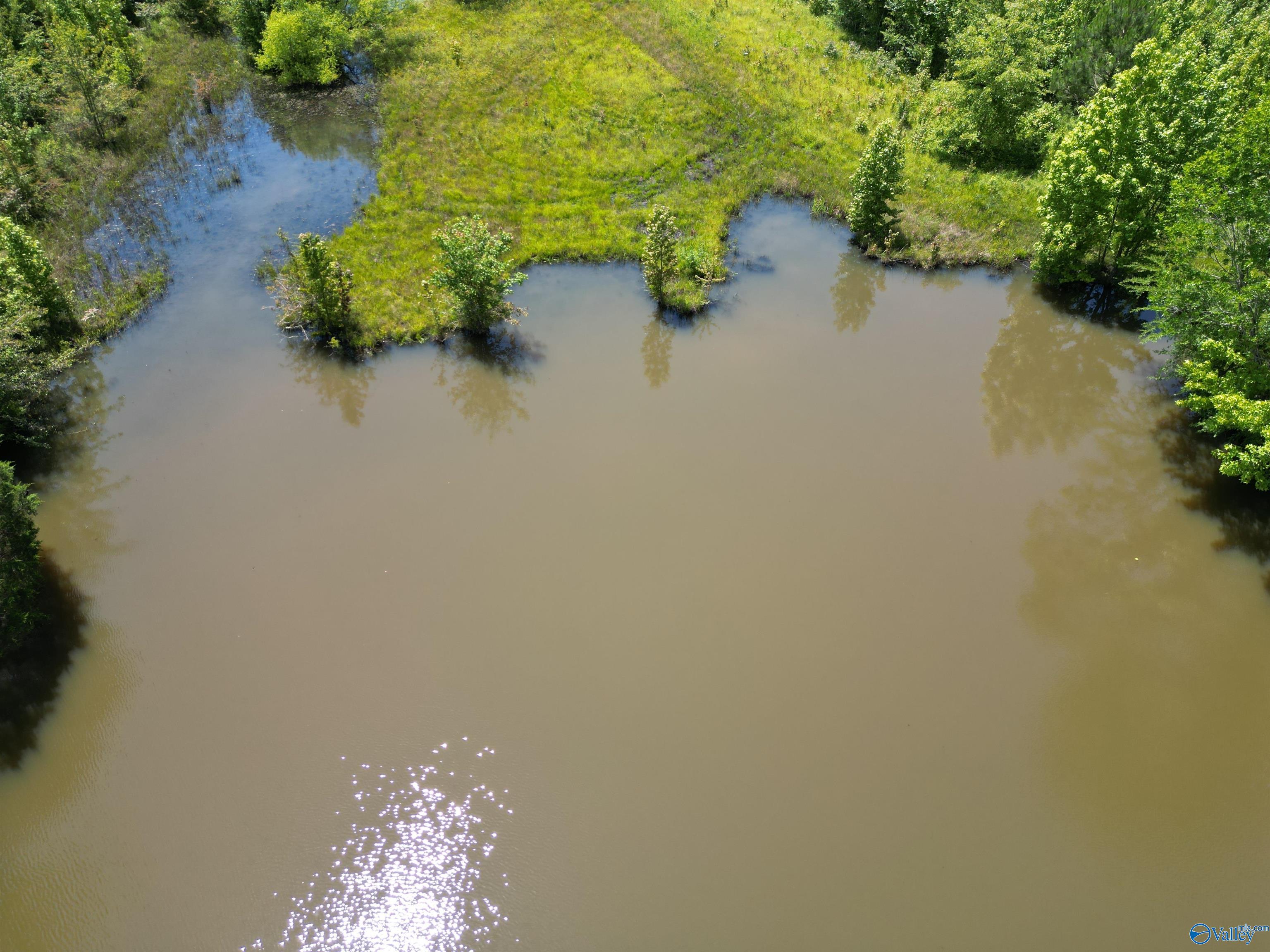 14 Acres Beaver Creek Road, Laceys Spring, Alabama image 12