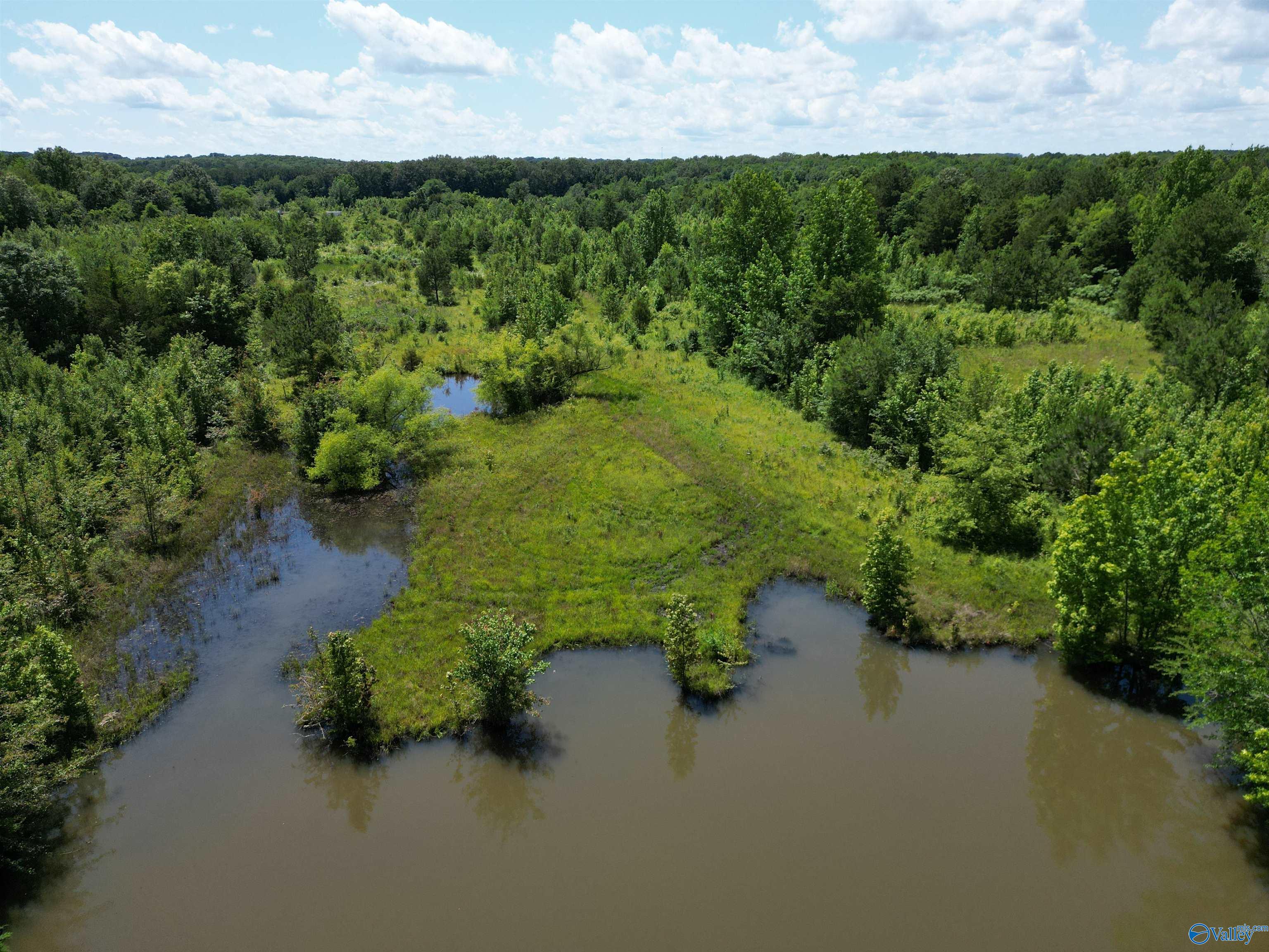 14 Acres Beaver Creek Road, Laceys Spring, Alabama image 13