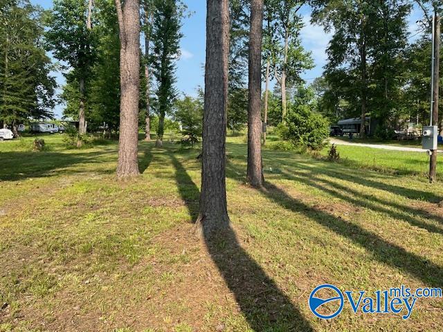 177 County Road 1043 #13, Centre, Alabama image 11