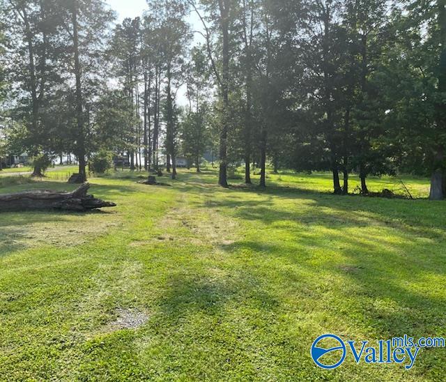 177 County Road 1043 #13, Centre, Alabama image 12
