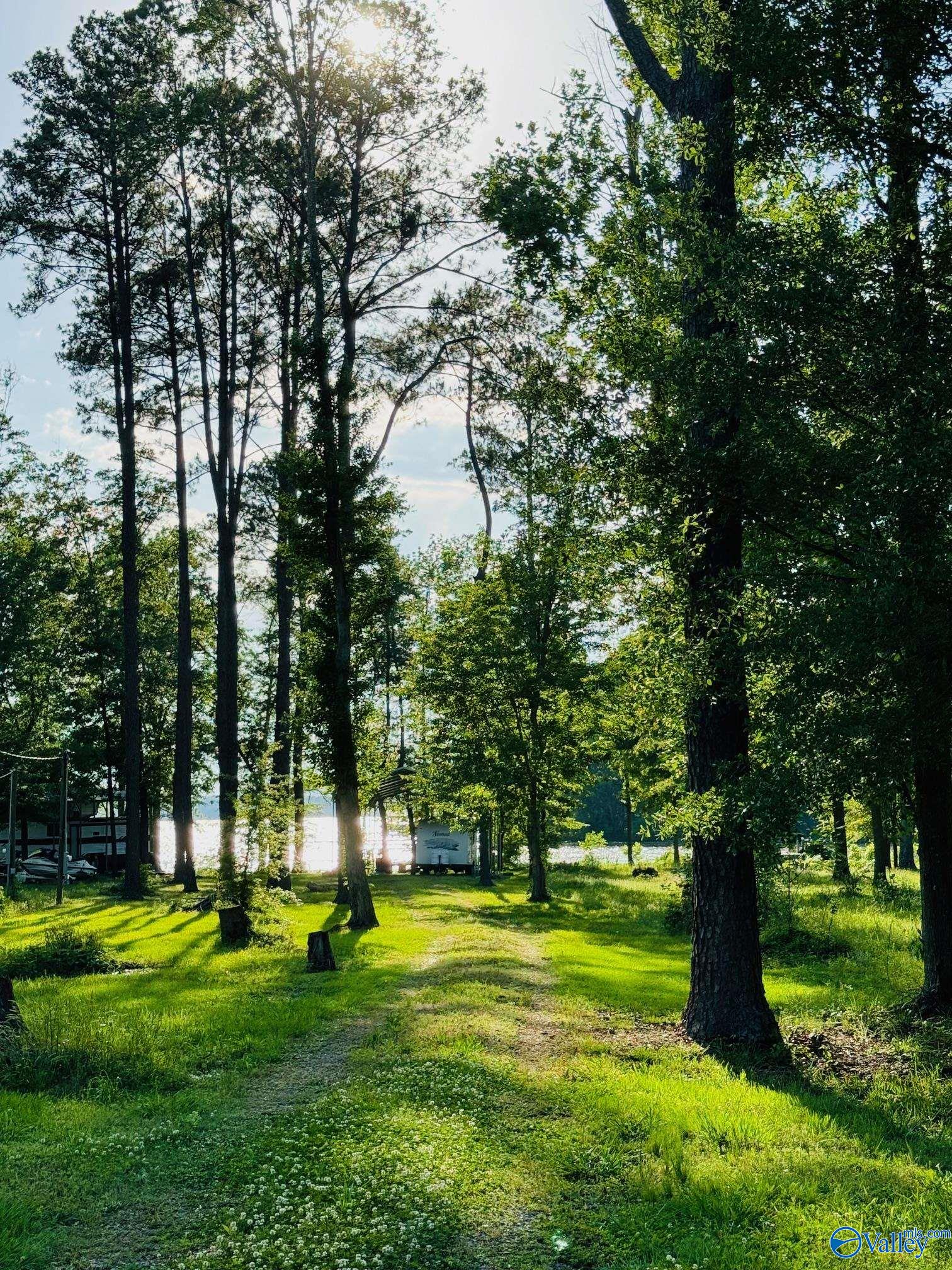 177 County Road 1043 #13, Centre, Alabama image 9