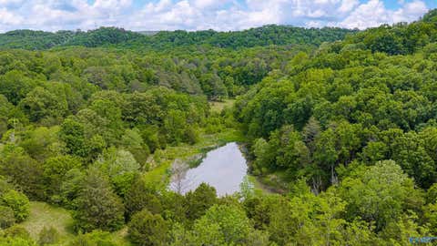 Vacant Land For Sale - 77 ACRES Hixon Road<br/> Fort Payne, AL 35967