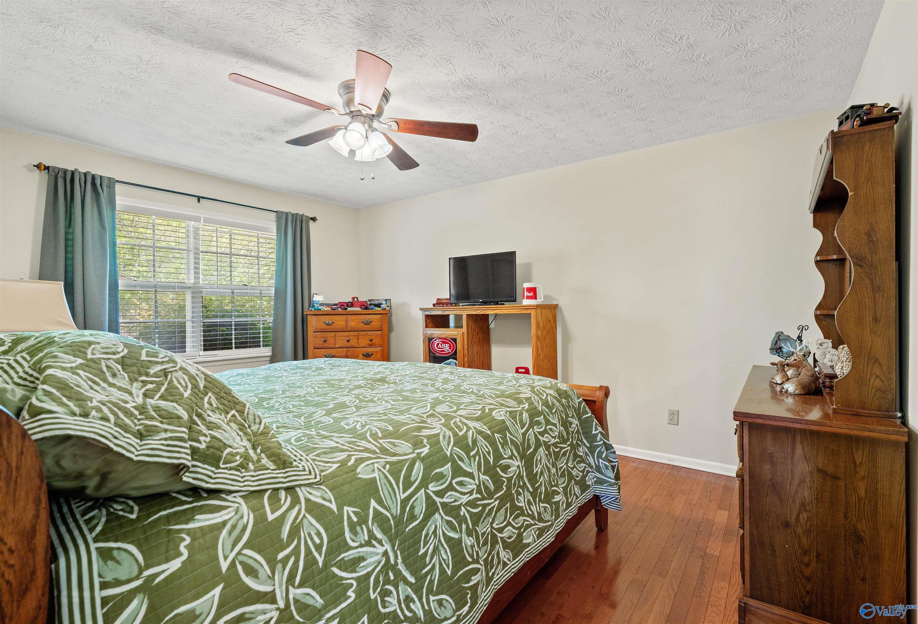 2922 George Wallace Drive, Albertville, Alabama image 12