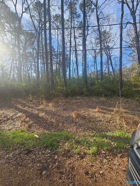 Vacant Land For Sale - 0.50 Mitchell Street<br/> Madison, AL 35757