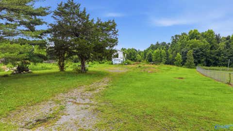 Vacant Land For Sale - 301 County Road 315 #LOT 1<br/> Bryant, AL 35958