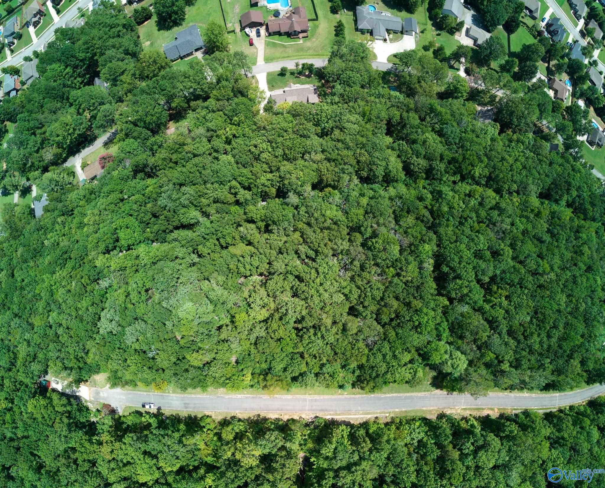 7037 Ridge Crest Road #LOT 54, Owens Cross Roads, Alabama image 11