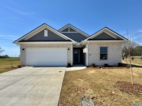 309 Allene Way Meridianville AL 35759