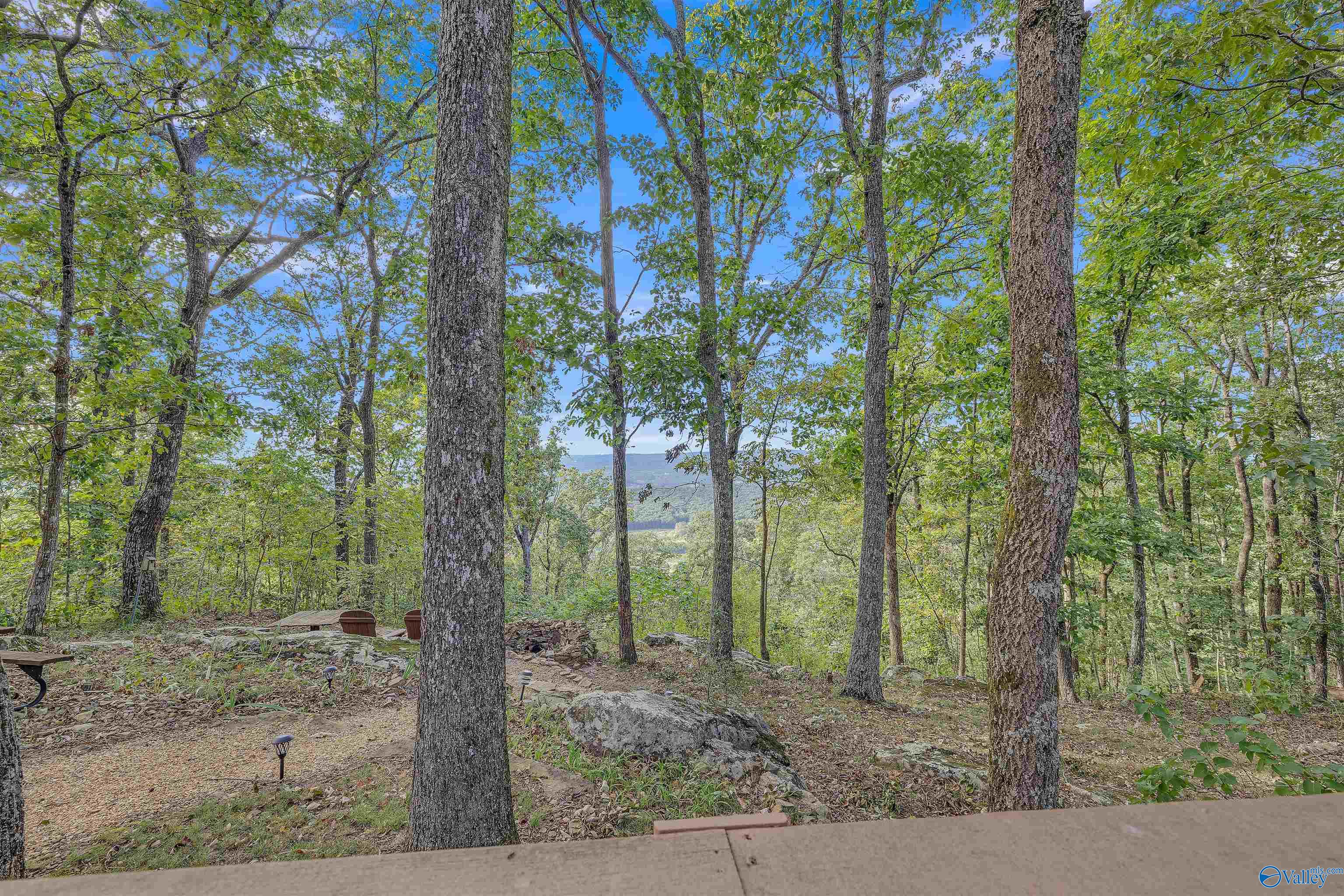 17137 County Road 89 Pkwy, Mentone, Alabama image 43