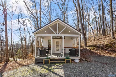 Photo of 2214 Baker Mountain Road, Grant, AL 35747 (MLS # 21911110)