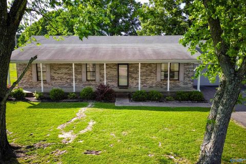 Photo of 136 County Road 591, Trinity, AL 35673 (MLS # 21917387)