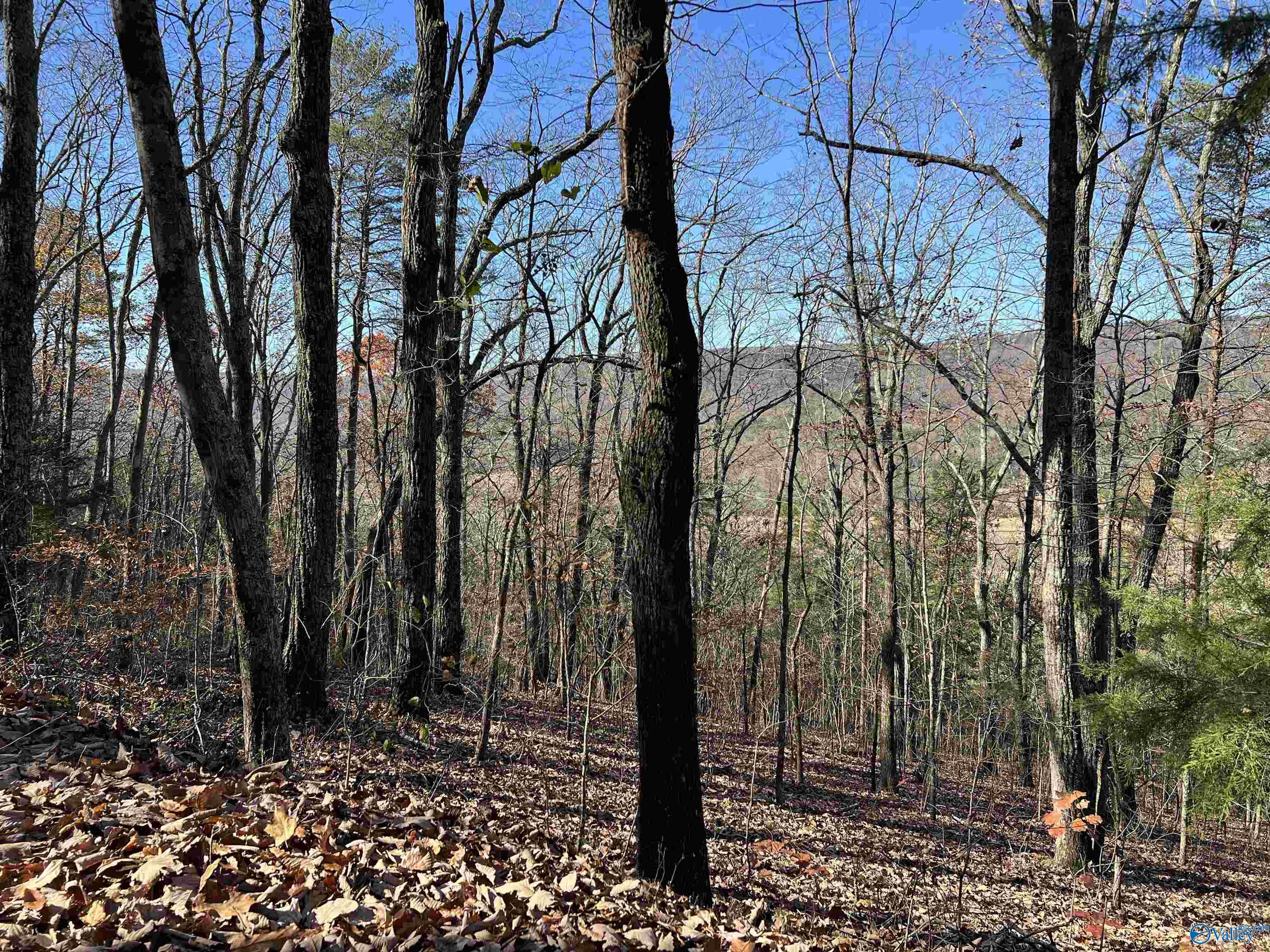 16 Acres Shinbone Valley Road, Menlo, Georgia image 1