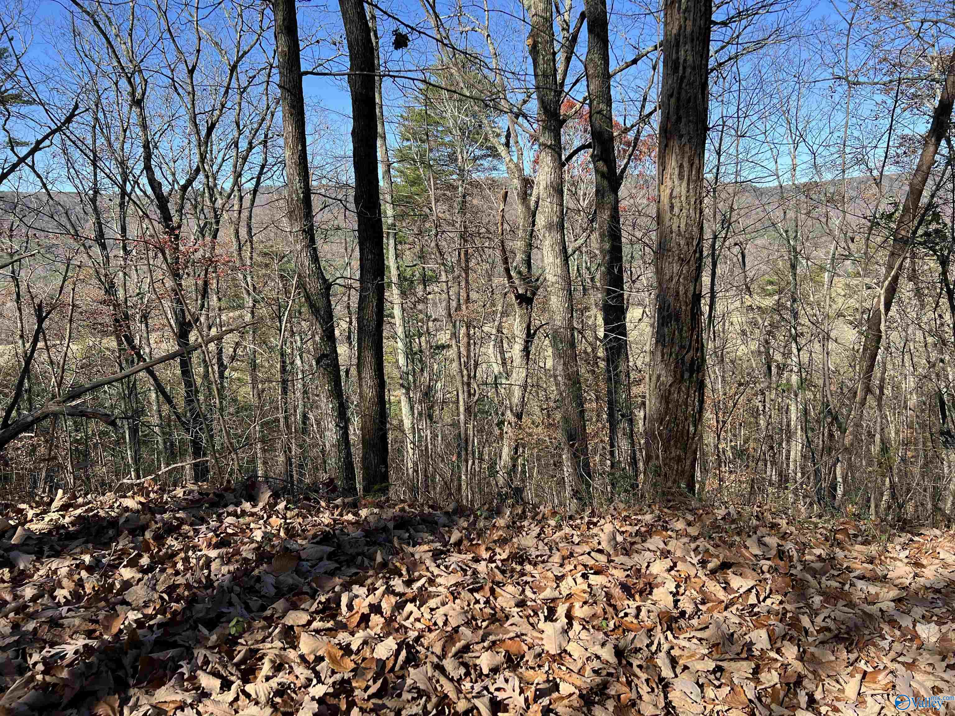 16 Acres Shinbone Valley Road, Menlo, Georgia image 2