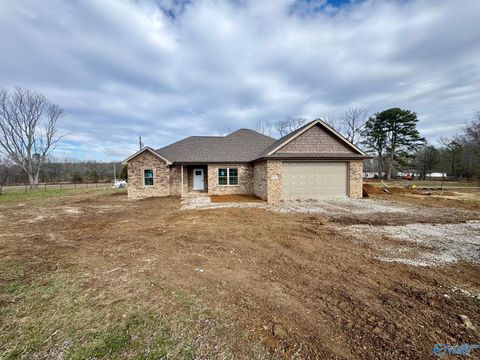 Homes For Sale - 8055 State Line Road<br/> Taft, TN 38488