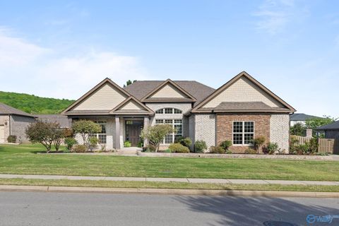 2715 Natures Trail SE Owens Cross Roads AL 35763