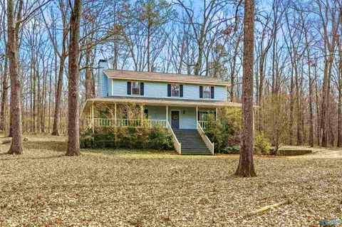 Photo of 374 Shagbark Trail, Somerville, AL 35670 (MLS # 21910342)