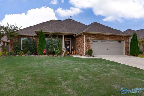 Photo of 3041 Peevey Creek Lane, Owens Cross Roads, AL 35763 (MLS # 21919502)